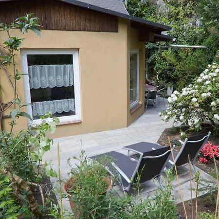 Дом отдыха Ferienhaus-der-villa-elsa Дрезден